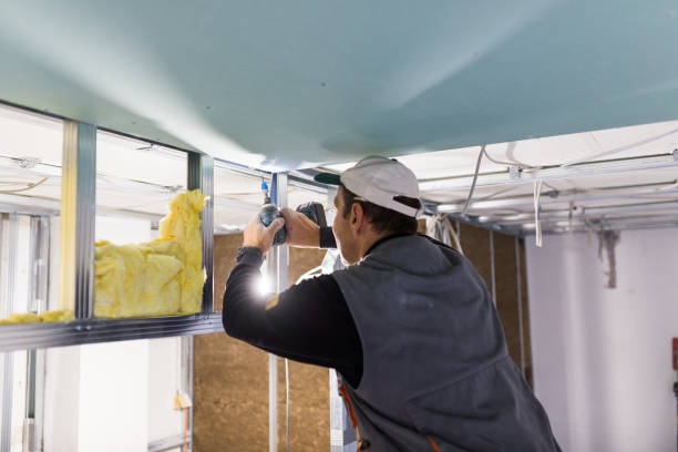 Best Cellulose Insulation in Indiana, PA